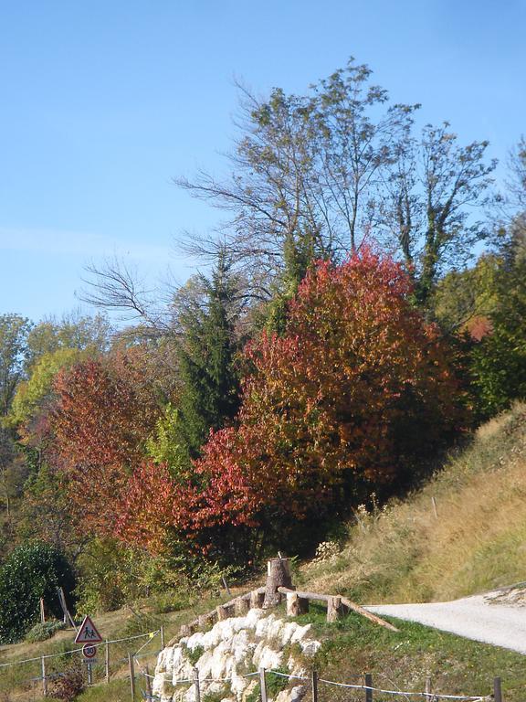 Gite Le Cerf De Belledonne Sainte-Agnès المظهر الخارجي الصورة