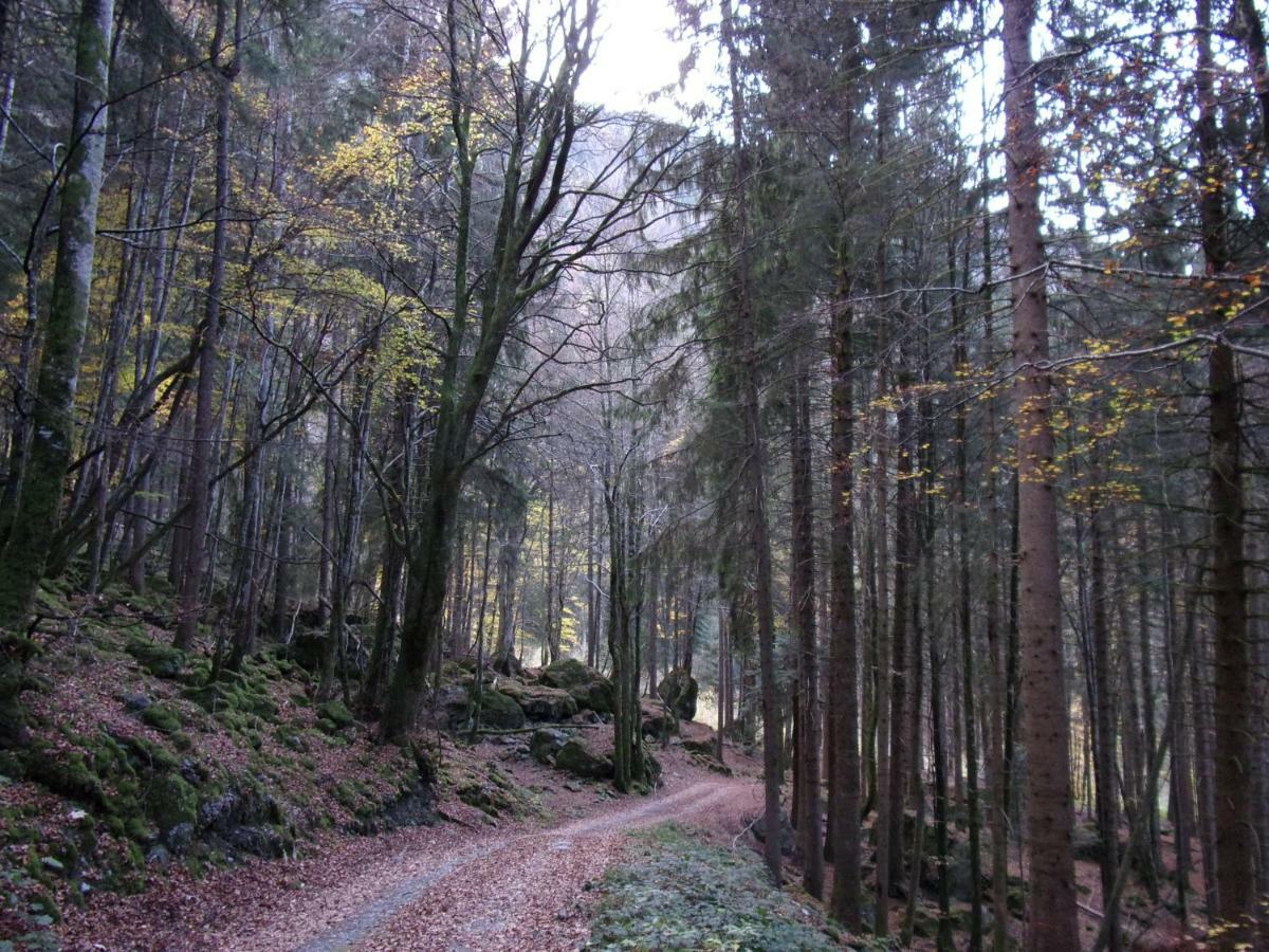 Gite Le Cerf De Belledonne Sainte-Agnès المظهر الخارجي الصورة